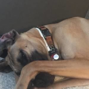 Meet your Posher, Brian